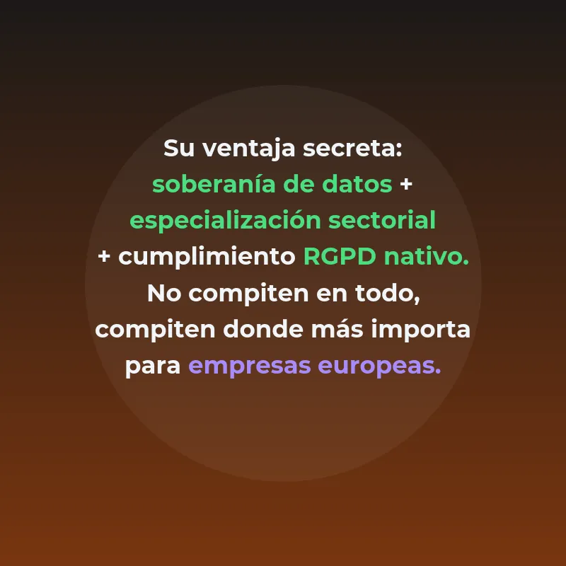 Aleph Alpha: modelos de lenguaje especializados con soberanía europea de datos - La startup alemana compite con OpenAI mediante IA sectorial que opera exclusivamente en servidores europeos - Carousel Image