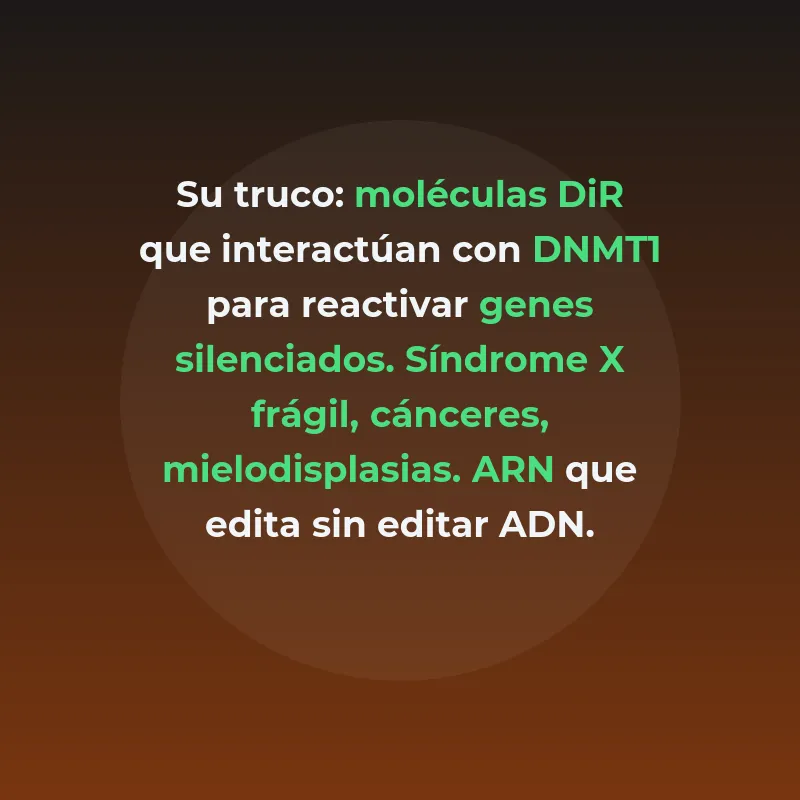 Aptadir Therapeutics: qué hace y por qué levantó 40 M€ - La biotech italiana fundada en 2024 que desarrolla una nueva clase de moléculas de ARN - Carousel Image