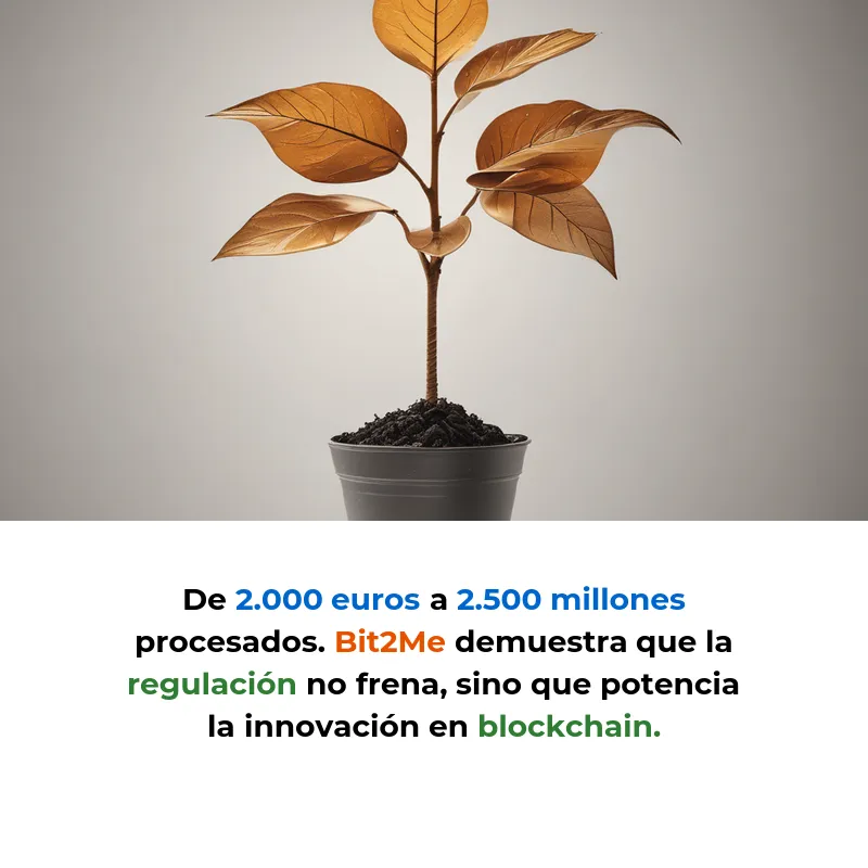 Bit2Me: 2.500M€ en Transacciones Anuales - Primera Plataforma Española con Licencia MiCA - 1,2 millones de usuarios y reconocimiento del Banco de España consolidan su liderazgo regulatorio en criptoactivos - Carousel Image