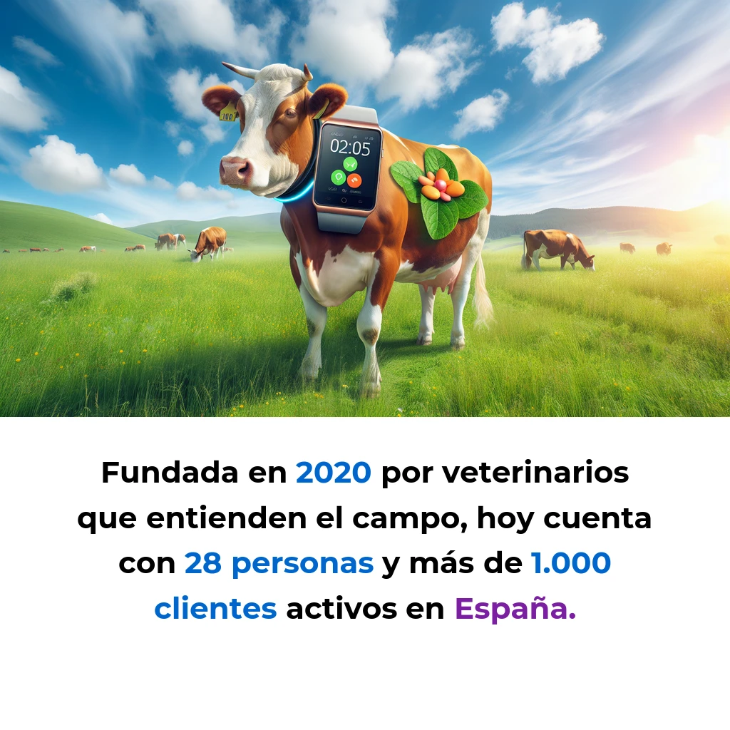 Innogando: El Smartwatch Gallego que Está Revolucionando la Ganadería Española - Esta startup de Galicia ha creado un collar inteligente que detecta enfermedades en vacas 48 horas antes que el ojo humano - Carousel Image
