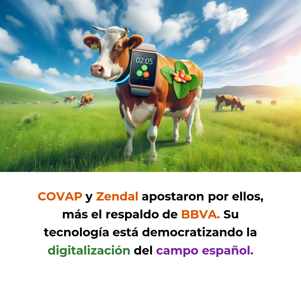 Innogando: El Smartwatch Gallego que Está Revolucionando la Ganadería Española - Esta startup de Galicia ha creado un collar inteligente que detecta enfermedades en vacas 48 horas antes que el ojo humano - Carousel Image