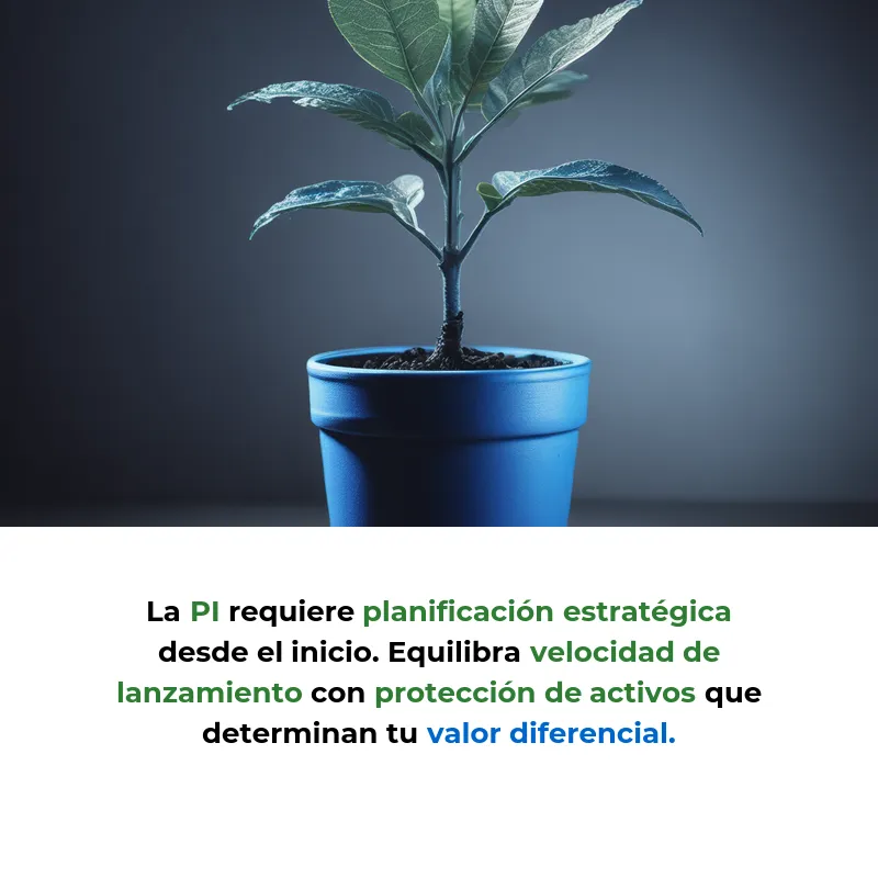 Propiedad Intelectual en Startups: Protección de la Innovación - Cómo patentes, marcas y derechos de autor protegen las creaciones de las empresas emergentes - Carousel Image
