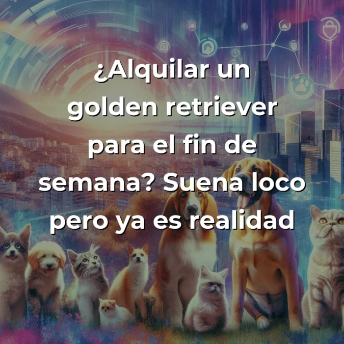 Sharpei: La Startup Española que Convierte el Alquiler de Mascotas en un Negocio Digital - Cuando el amor por los animales se encuentra con la innovación urbana, nace una idea tan obvia como revolucionaria. - Carousel Image