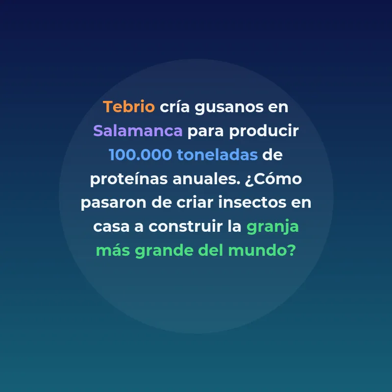 Tebrio: La startup que construye la granja de insectos más - De criar gusanos en casa a una planta de 110 millones de euros que producirá 100.000 toneladas anuales de proteínas, biofertilizantes y quitosano - Carousel Image