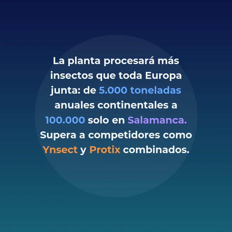 Tebrio: La startup que construye la granja de insectos más - De criar gusanos en casa a una planta de 110 millones de euros que producirá 100.000 toneladas anuales de proteínas, biofertilizantes y quitosano - Carousel Image