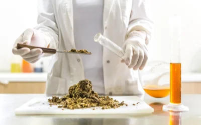 Good Food Institute: think tank que revoluciona proteínas